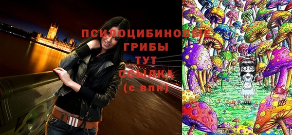 apvp Горнозаводск