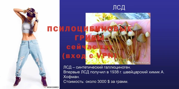 трава Горно-Алтайск