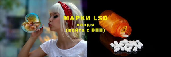 ешки Весьегонск