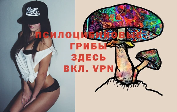 apvp Горнозаводск