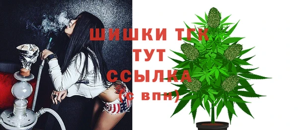 трава Горно-Алтайск