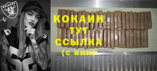 ешки Весьегонск