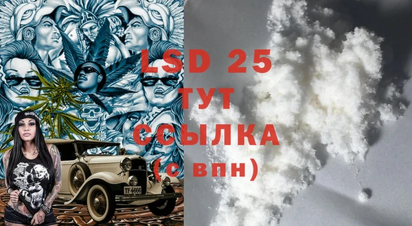 СК Горняк
