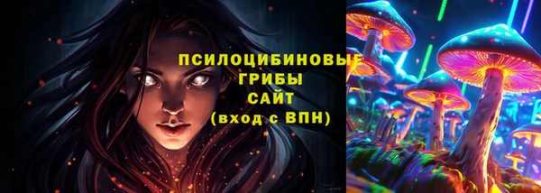apvp Горнозаводск