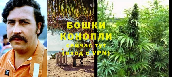 СК Горняк